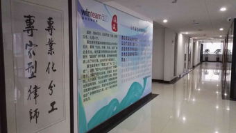 專業(yè)法律服務(wù)全解析 咨詢、代理與非訴事務(wù)